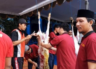 Kurban Rabu 28 Juni, SDM Limas Sembelih 3 Sapi dan 11 Kambing