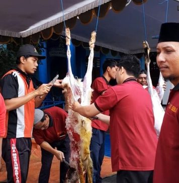 Kurban Rabu 28 Juni, SDM Limas Sembelih 3 Sapi dan 11 Kambing