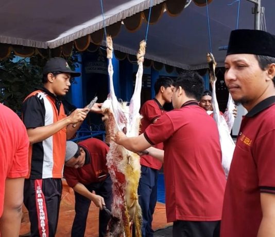 Kurban Rabu 28 Juni, SDM Limas Sembelih 3 Sapi dan 11 Kambing