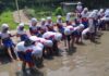 Murid kelas 1 SD Muhammadiyah 15 Surabaya (SDM Limas) belajar menanam padi dengan teknik tandur (menanam mundur) di Lembah Pendawa Pandaan, Pasuruan. (Ali/KLIKMU.CO)