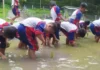 Siswa SDM Limas belajar menanam padi atau tandur di Lembah Pendawa Pandaan Pasuruan. (foto:ist)